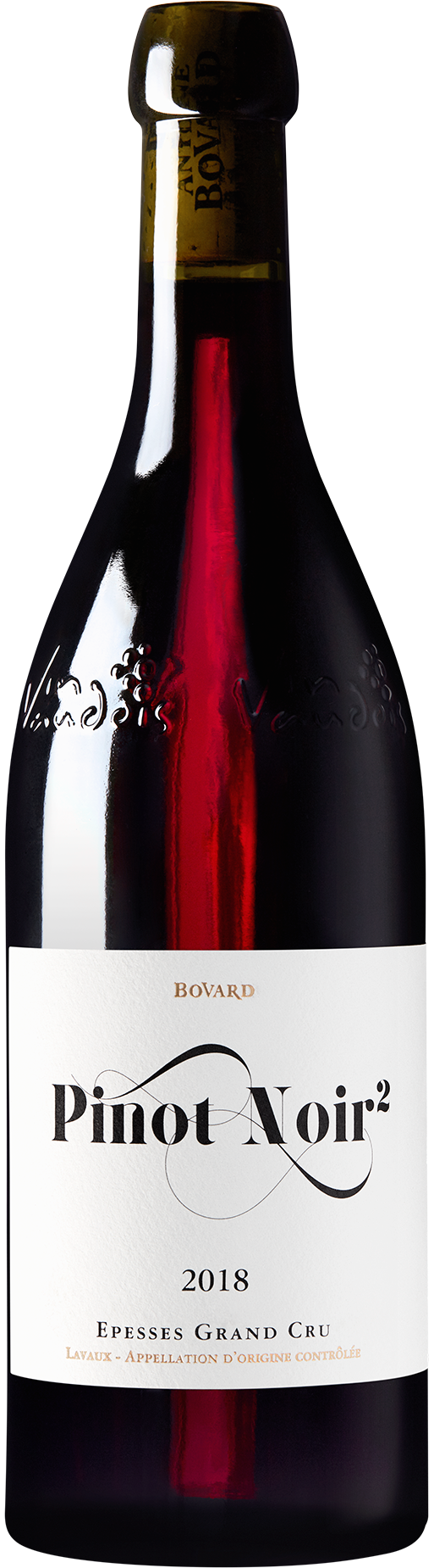 2021-01_Domaine-Antoine-Bovard_Pinot-Noir_H1849xW513